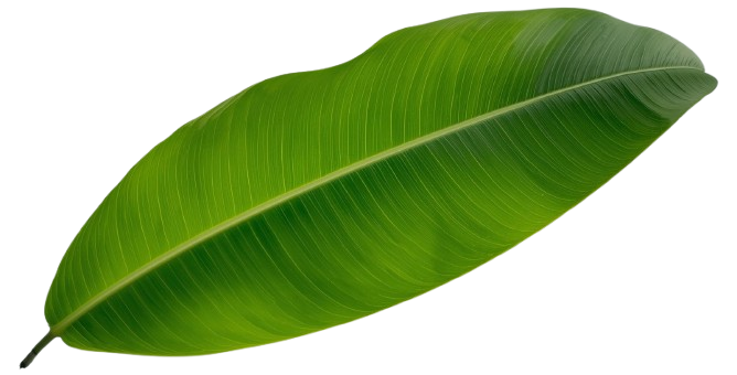 leaf left